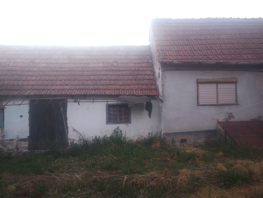 Casa de vinzare preț negociabil