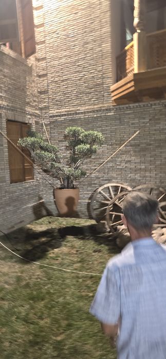 Газон дарахд арезка