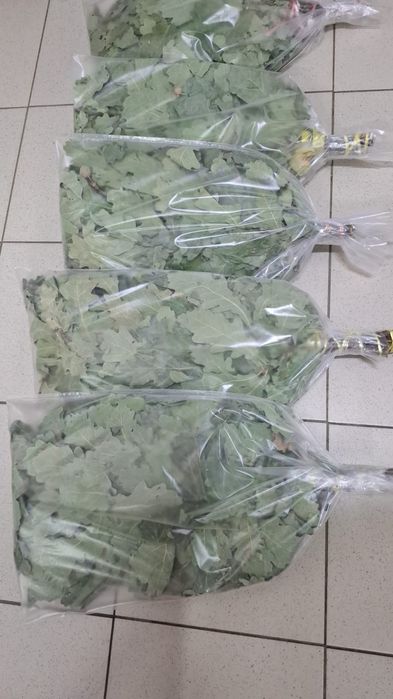 Дубовые веники, опт и розница