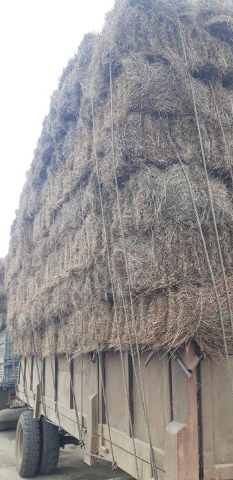 Продам Сено тюкой