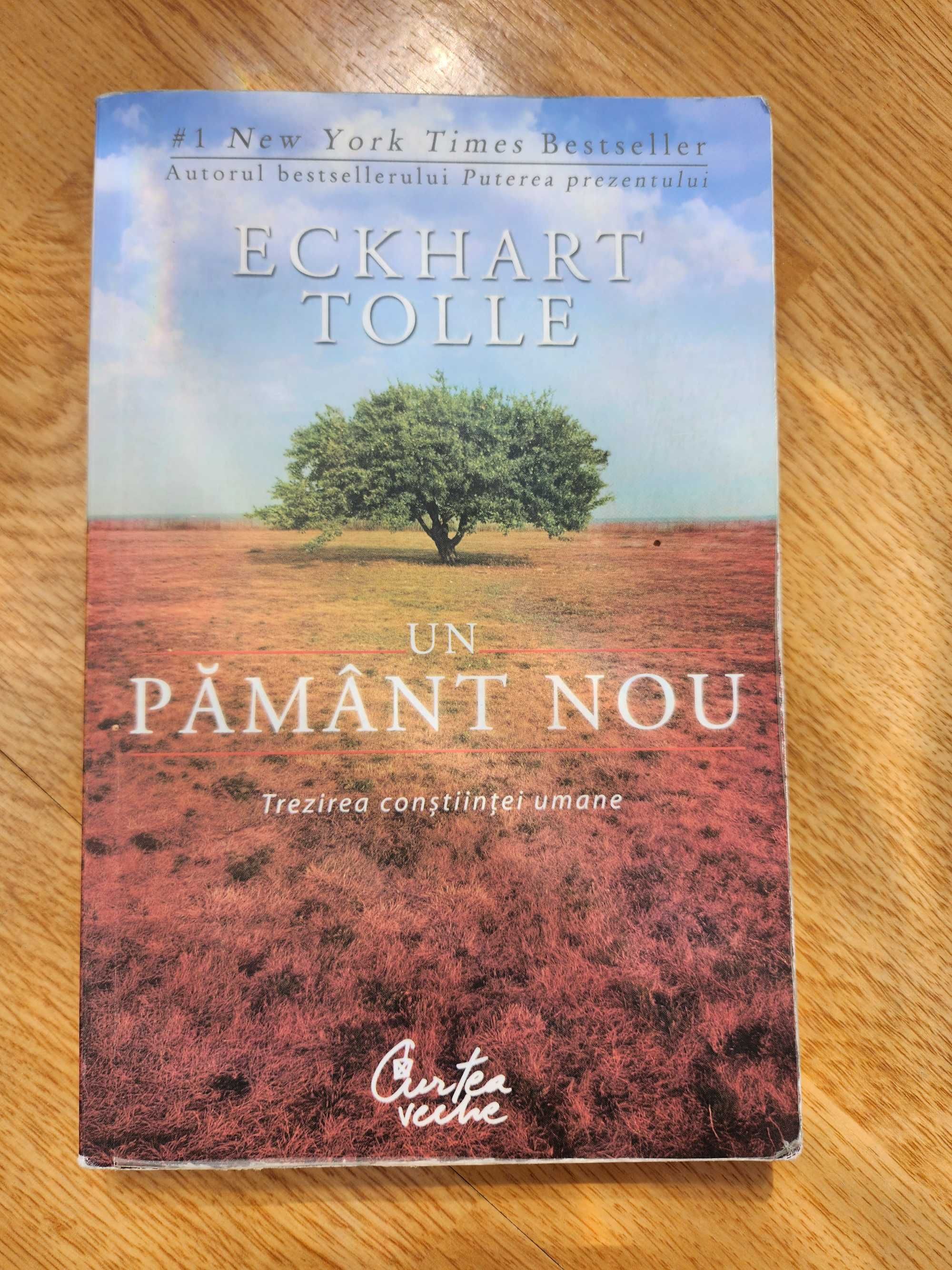 Un pamant nou -  Eckhart Tolle