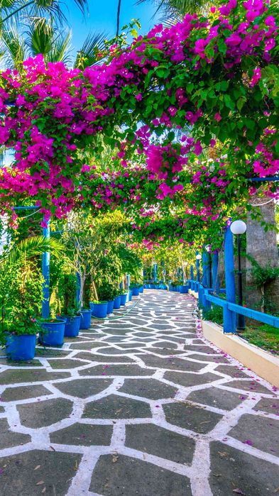 Piatra pietricele decorativa, Ablba, Negru, Gri,Roz,Roșu,Thassos, Kava