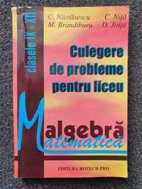 CULEGERE de PROBLEME pentru liceu Algebra IX-XII - Nastasescu, Nita