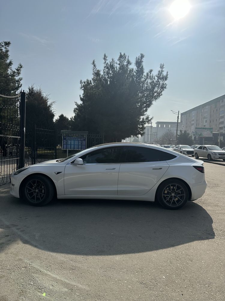Tesla model 3 standart