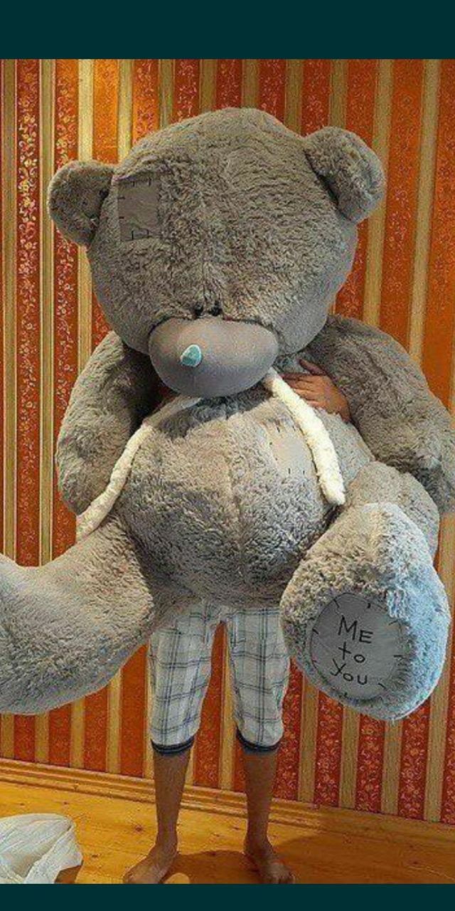 Teddy teddi original