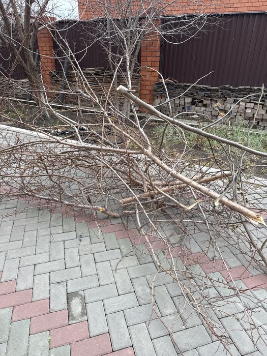 Отдам на дрова даром