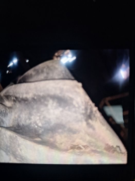 Gumi Goodyear ne karani