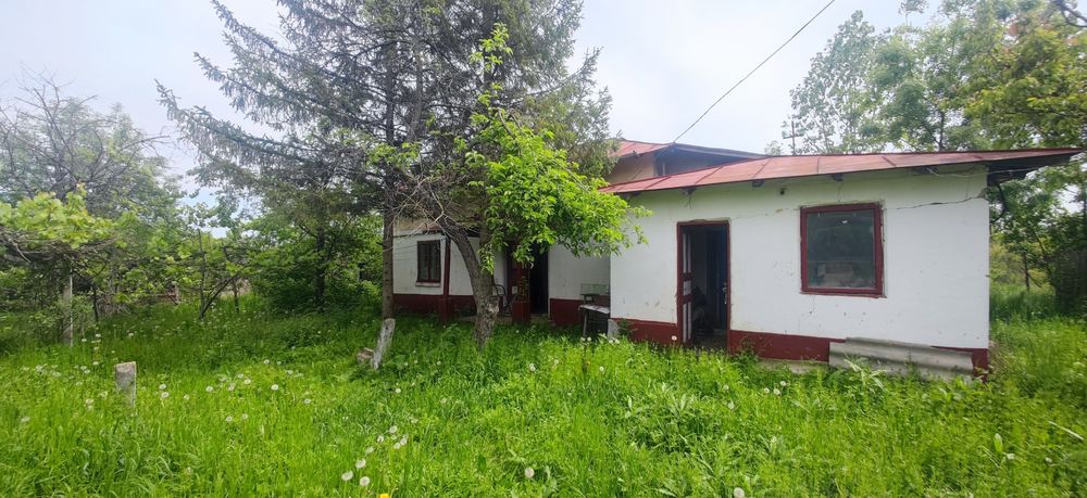 Casă cu teren 6338 mp