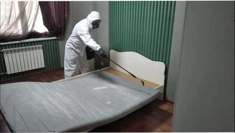 Дезинфекция дома
OLX orqali