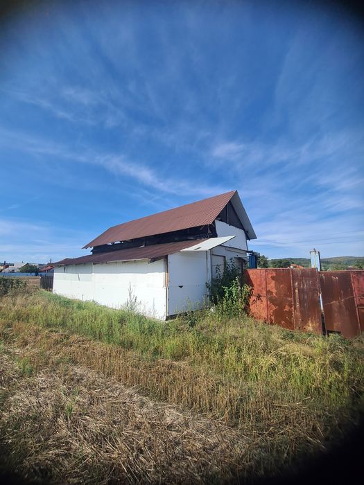 Vând teren intravilan  suprafață 10000m2