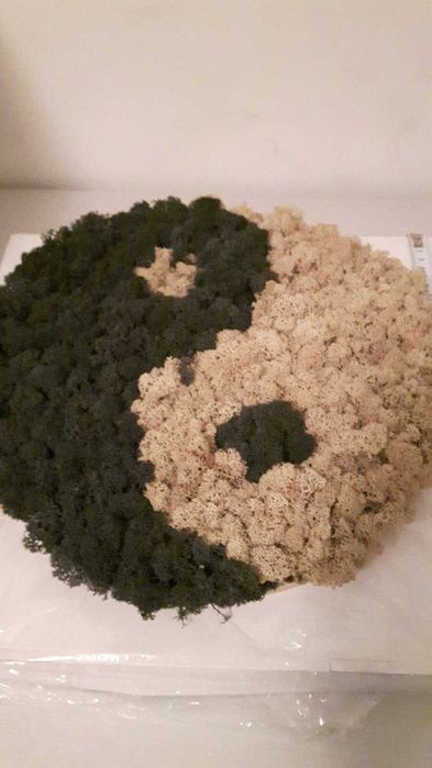 Арт пано "Ин-Ян" от естествен скандинавски мъх