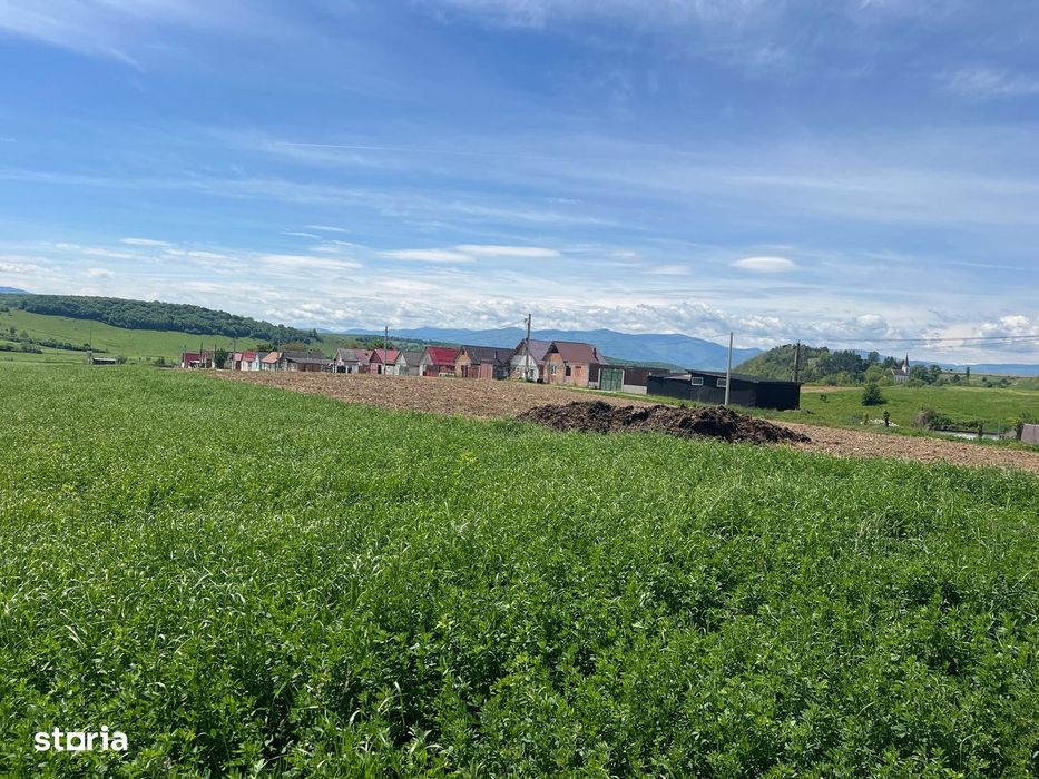 Teren in supr. de 45200 mp, pt constructii case sau hale industriale!