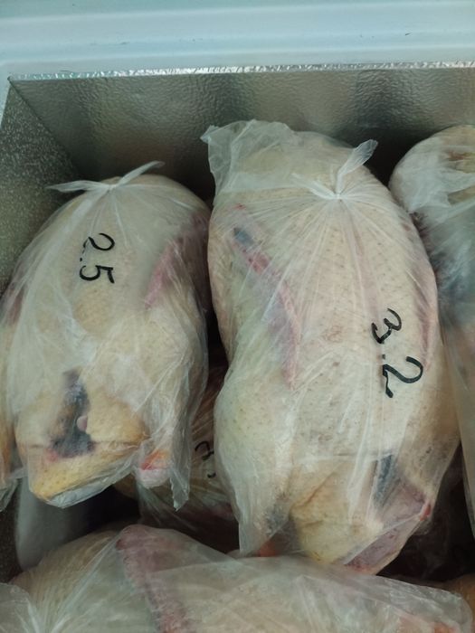 Продам индоуток!