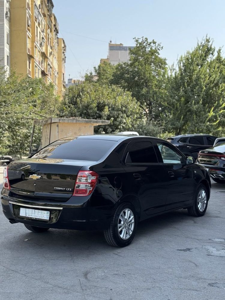 Cobalt 2024 stayl qora