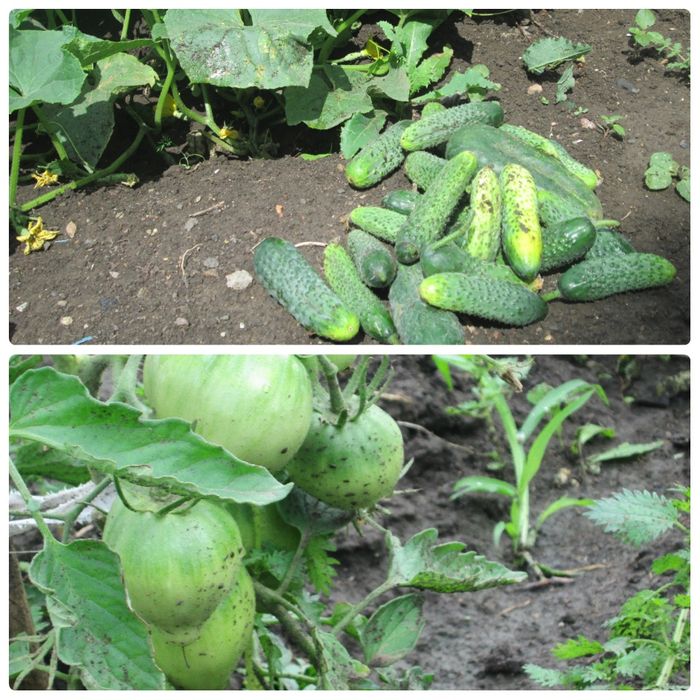 Продается 1/2 дома.Срочно.Торг