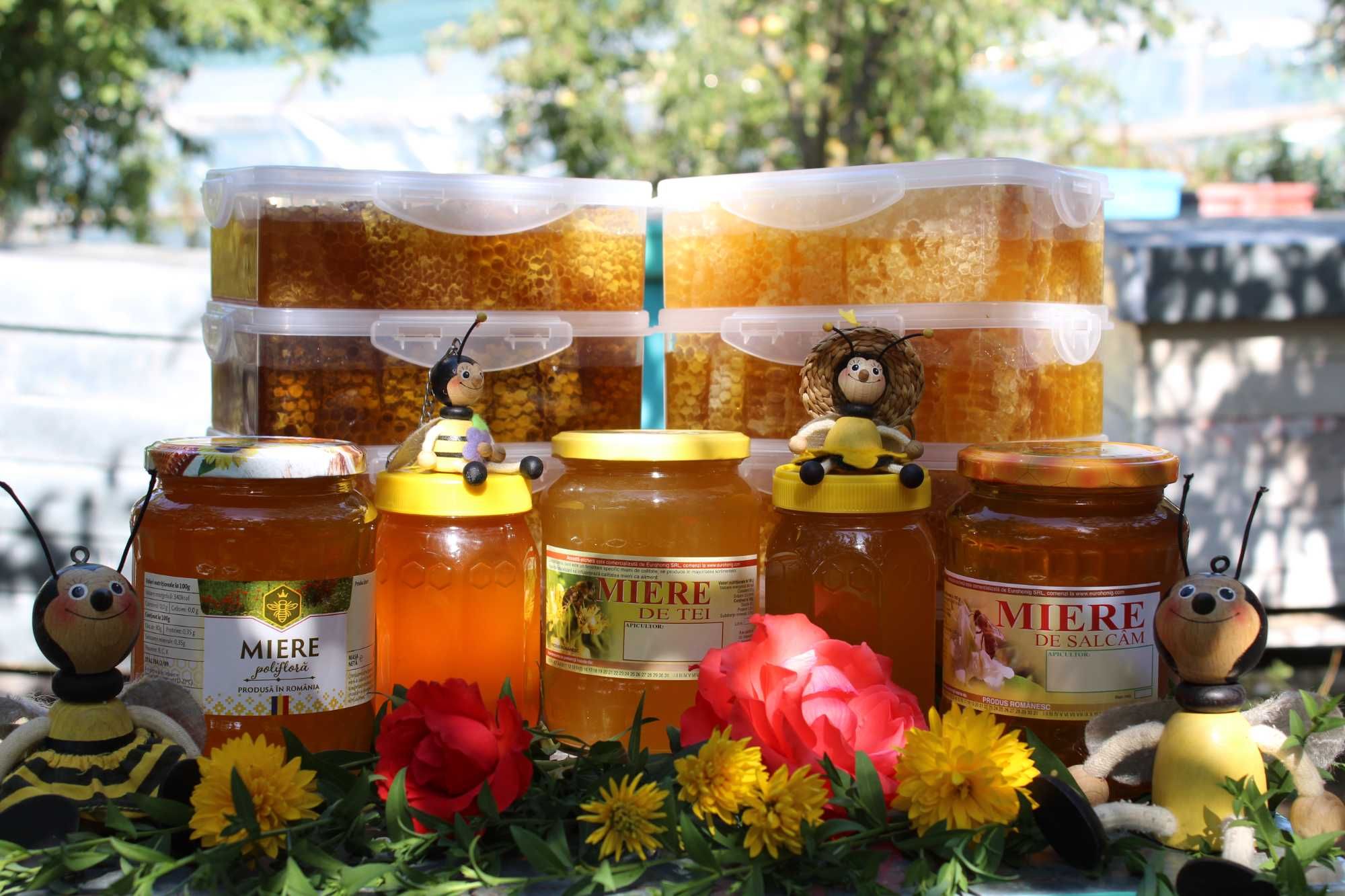 Fagure cu miere de albine