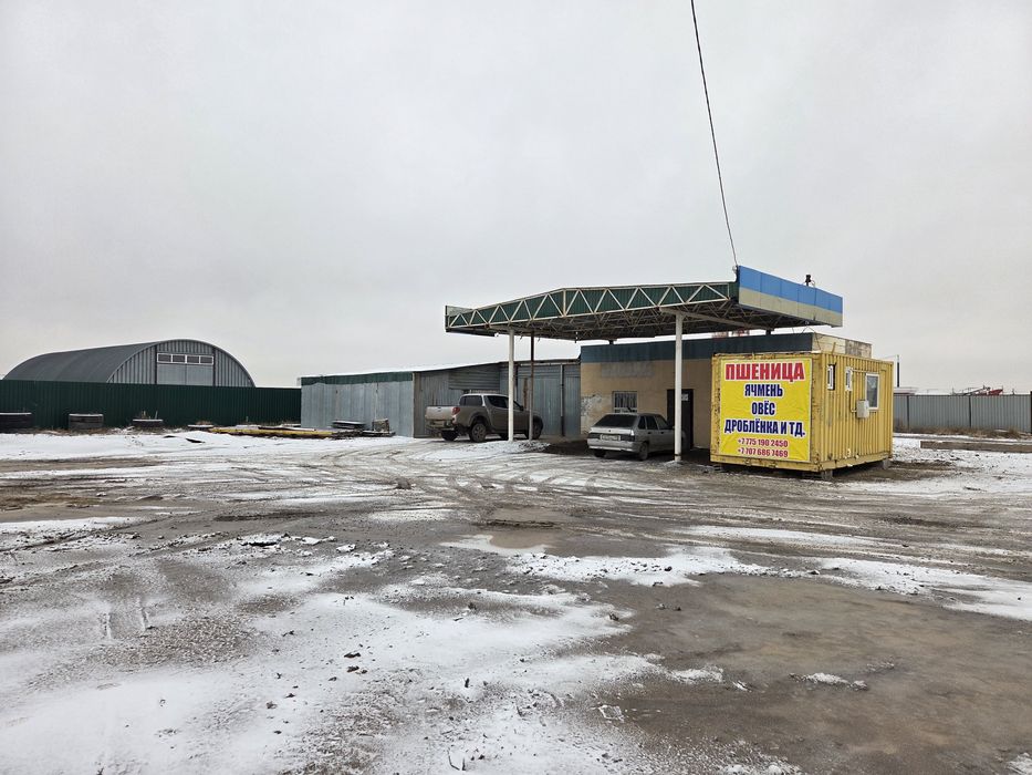 Пшеница, ячмень, овес