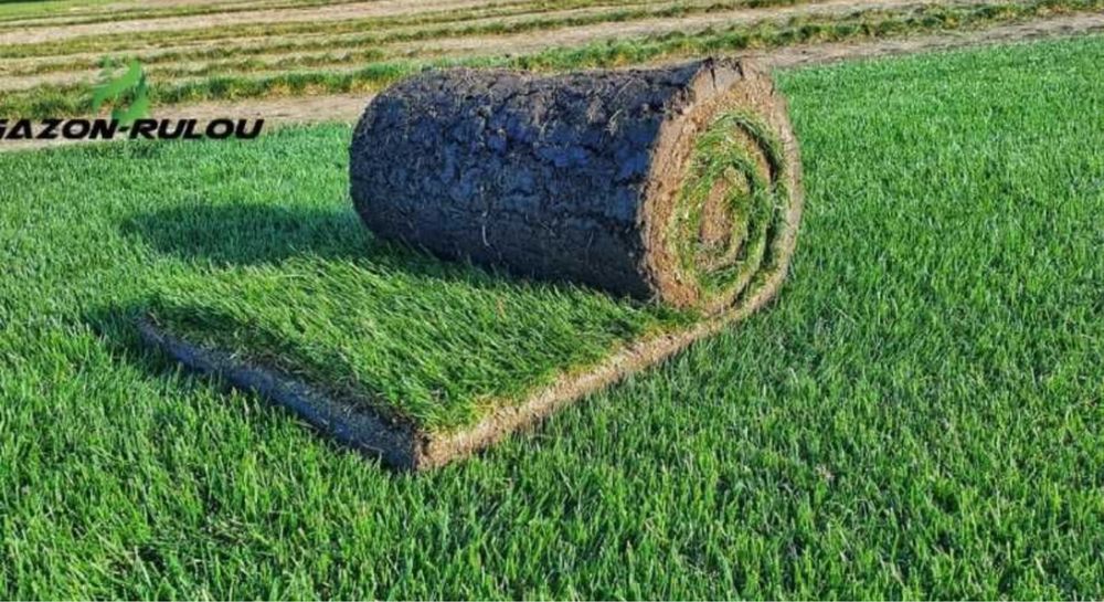 Gazon rulou sport calitate extra oriunde in tara