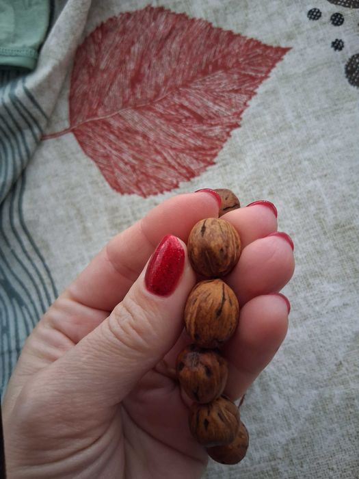 Бровница Дълголетие