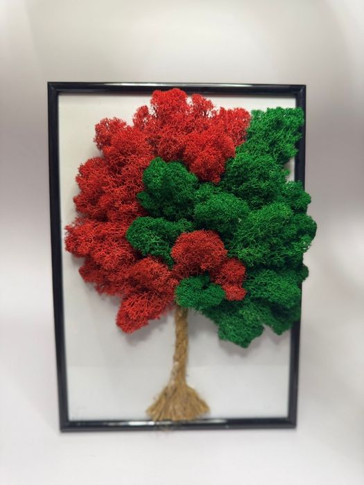 Vând tablouri licheni stabilizați