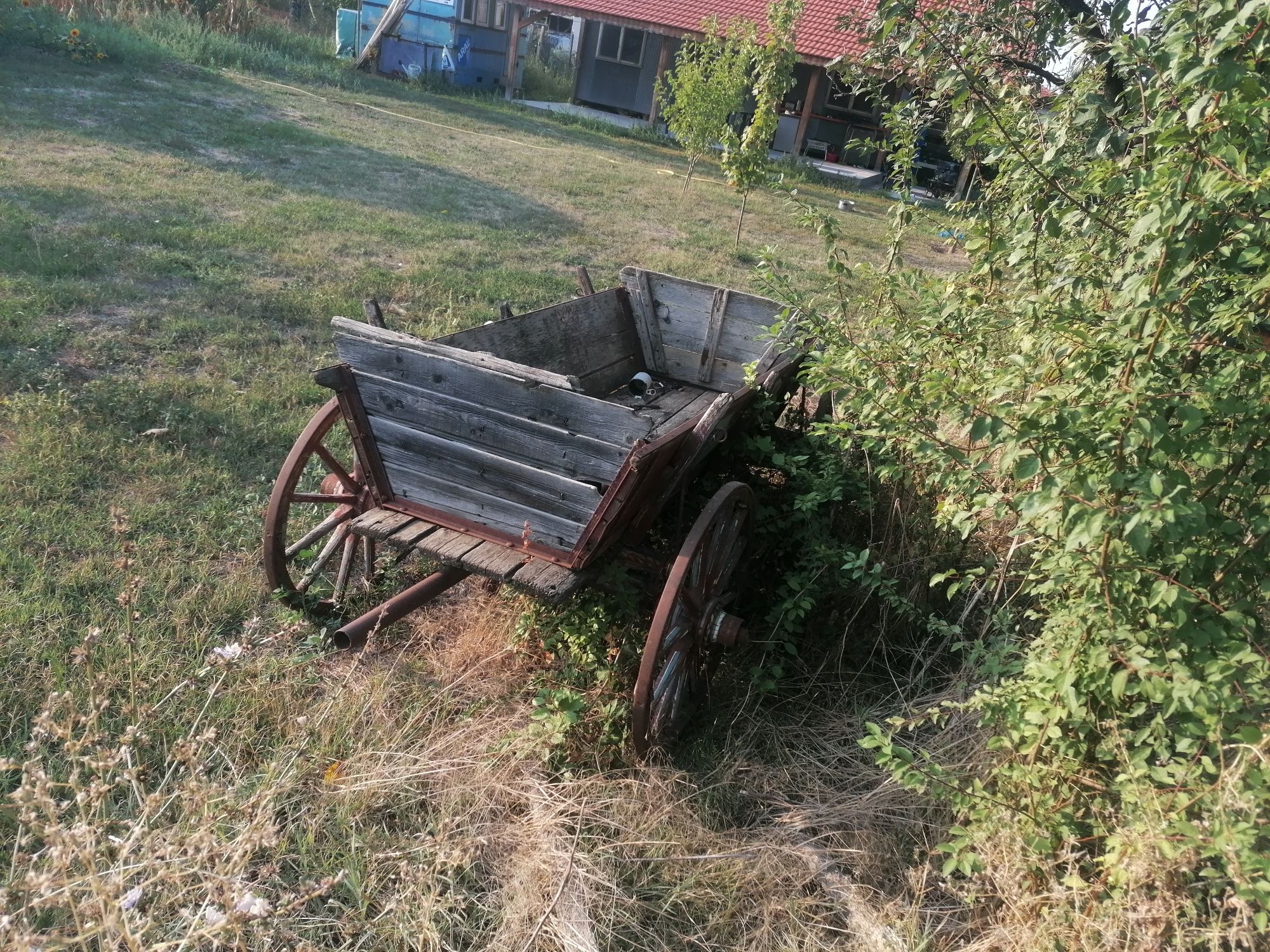 Каруци каруци...
