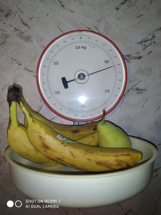 Кухненски кантар за стена