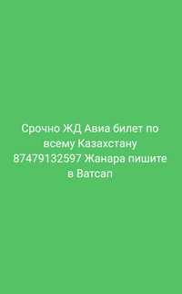 ЖД билет Темір жол билеттерін тауып беремін барлық бағытқа