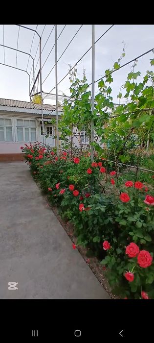Uy hovli sotiladi