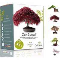 Kit de crestere plante Zen Bonsai