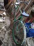 Bicicleta pegas colectie