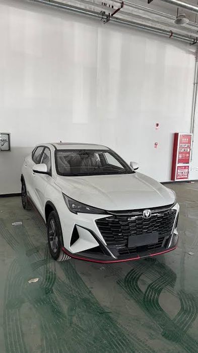 Changan X5 бампер дверь