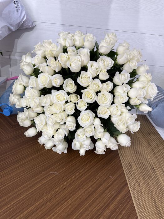 Ақ 101 роза свежий прям ашылып тұр туған күнге 1-2 сағатқа ғана алдық