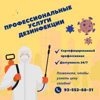 Профессиональные услуги дезинфекции - Гарантированная чистота