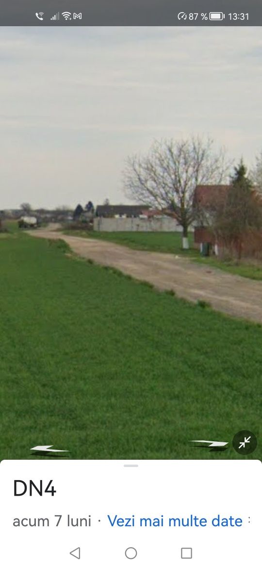 10000 Mp la FRUMUȘANI 21 € / Mp