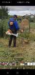 Cosesc cu motocoasa profesională stihl fs și mașină tuns gazon  sabo