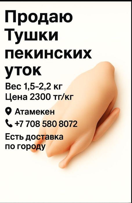 Мясо утки домашняя