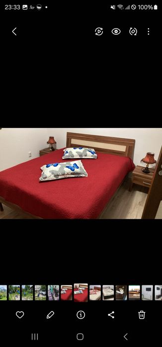 Cabana vilă în Bușteni de inchiriat
