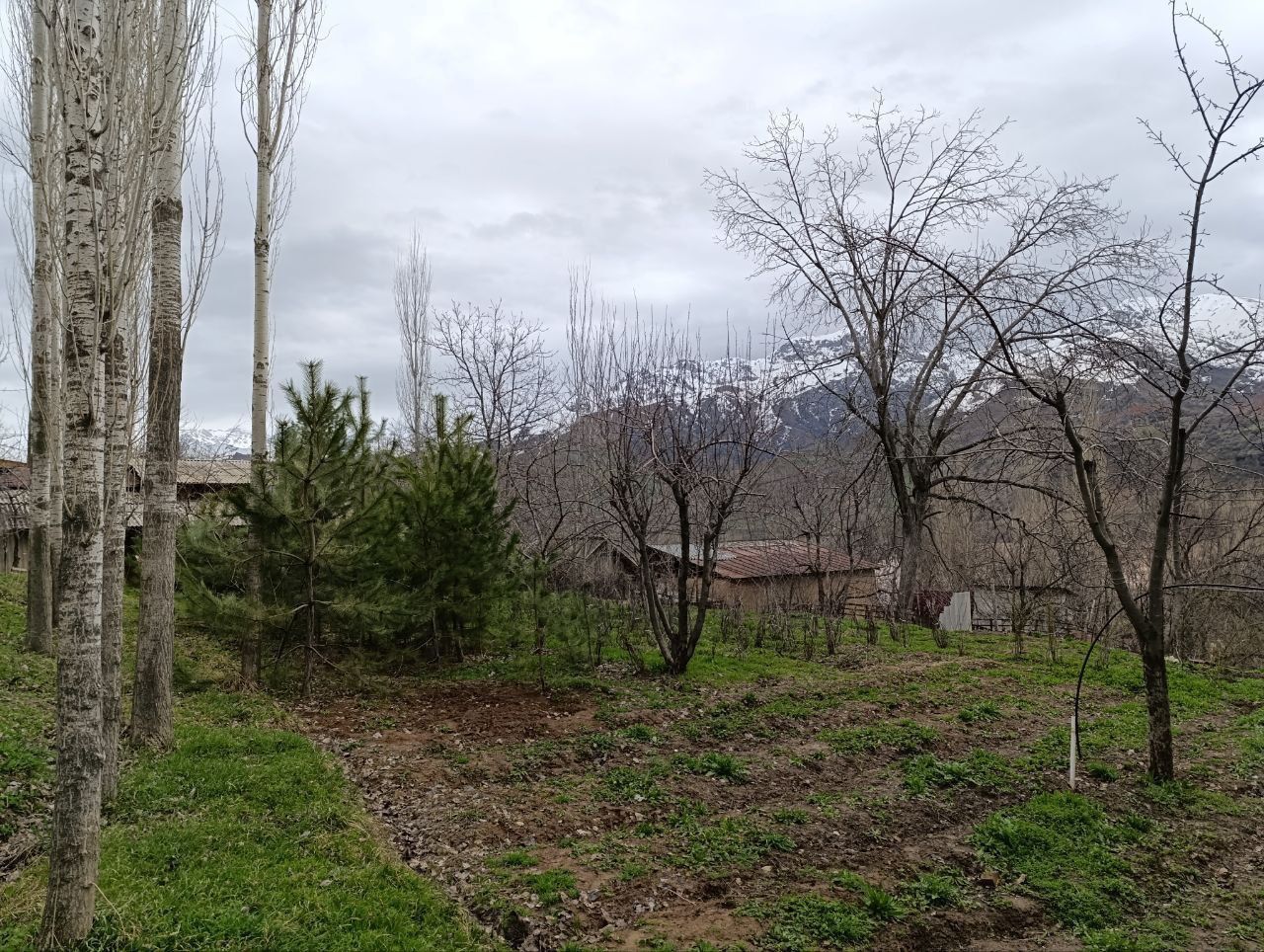 Dacha qurish uchun qulay joyda yer sotiladi