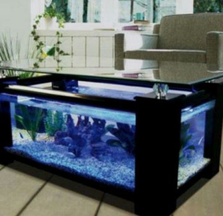 Ремонт аквариум,аквариум на заказ реставраци аквариумни мебел обслуга