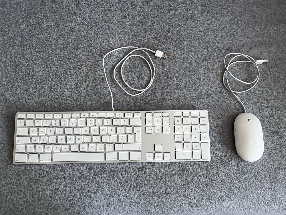 Tastatura si mouse Apple