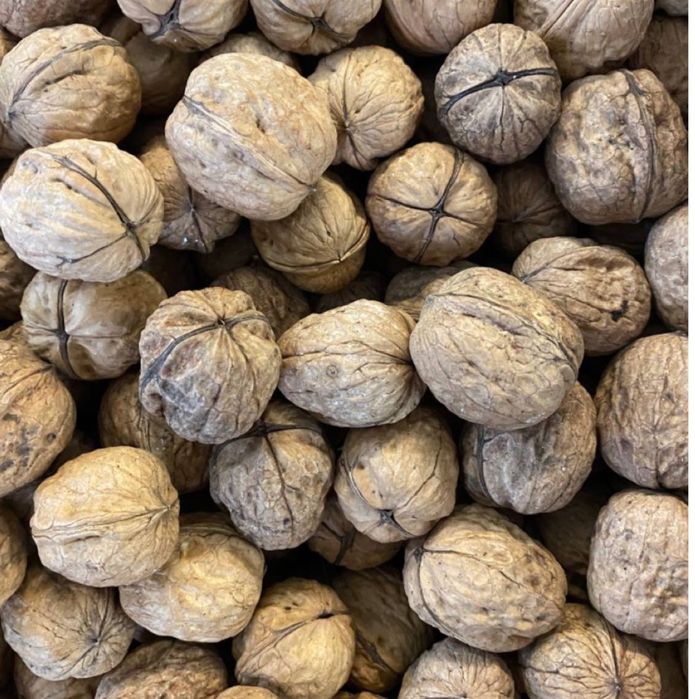 Грецкий Орех. Юпқа пўчоқ ёнғоқ