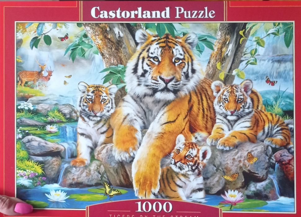 Пъзели 1000 Castorland, Falcon