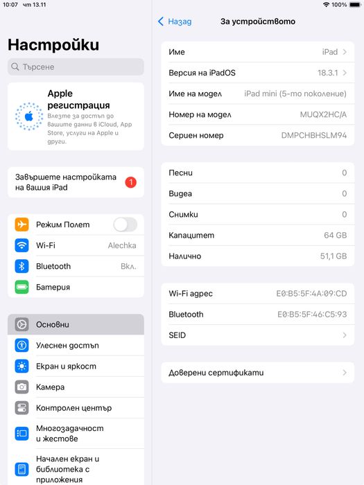 iPad mini 5 (64GB) – Отлично състояние, iPadOS 18!