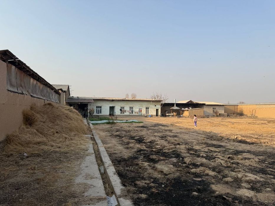 Кадастр бор Янгийул Коратепа тошкендан келганда арча ку́чага етмасдан