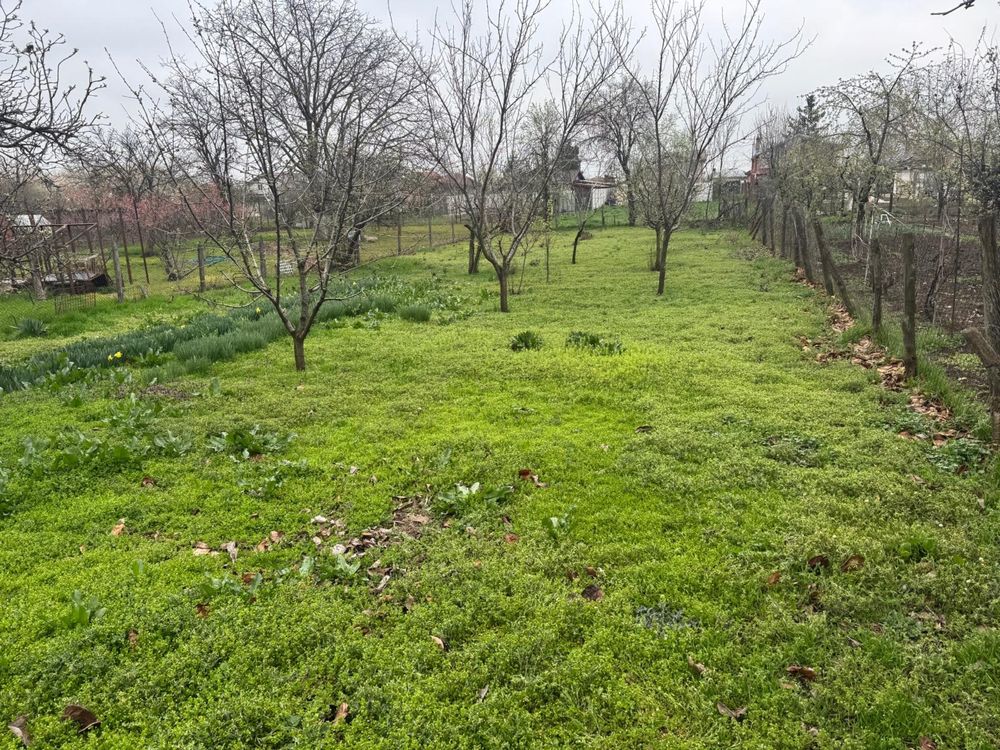 Vand casa batraneasca si teren Darvari, Ciorogarla Ilfov