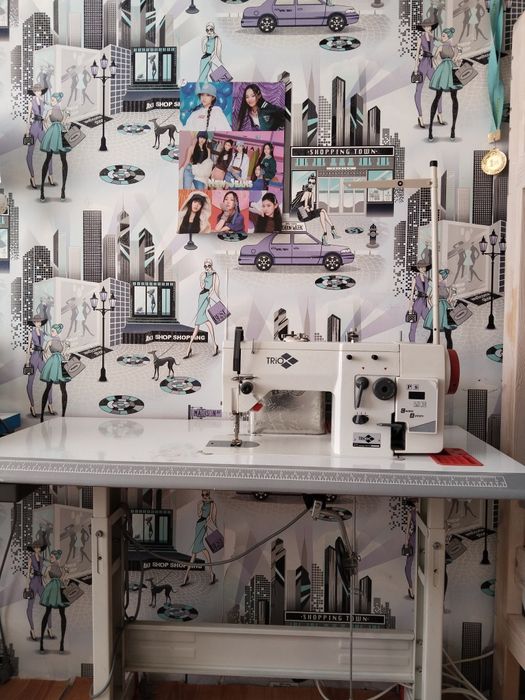 Пром швейная машина 2в1