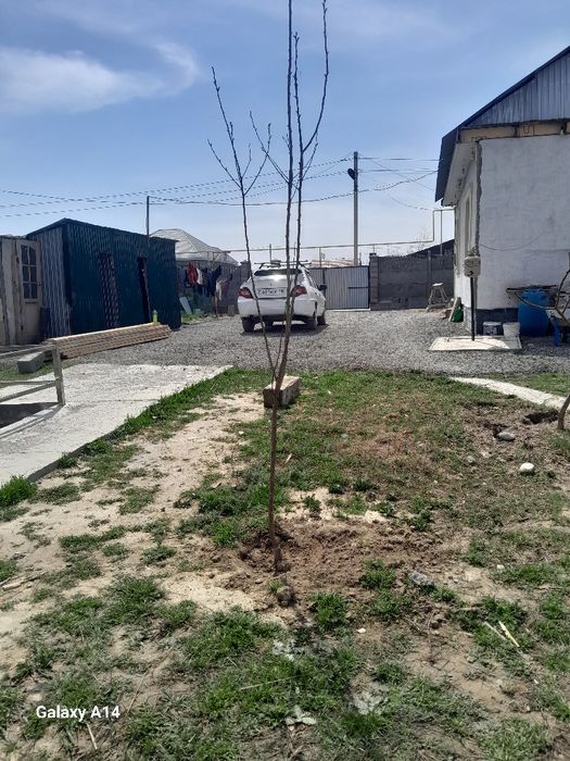 Продаётся дом ащибулаке