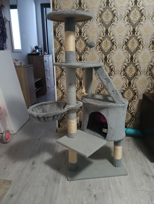 Zgârietoare pisici și litieră