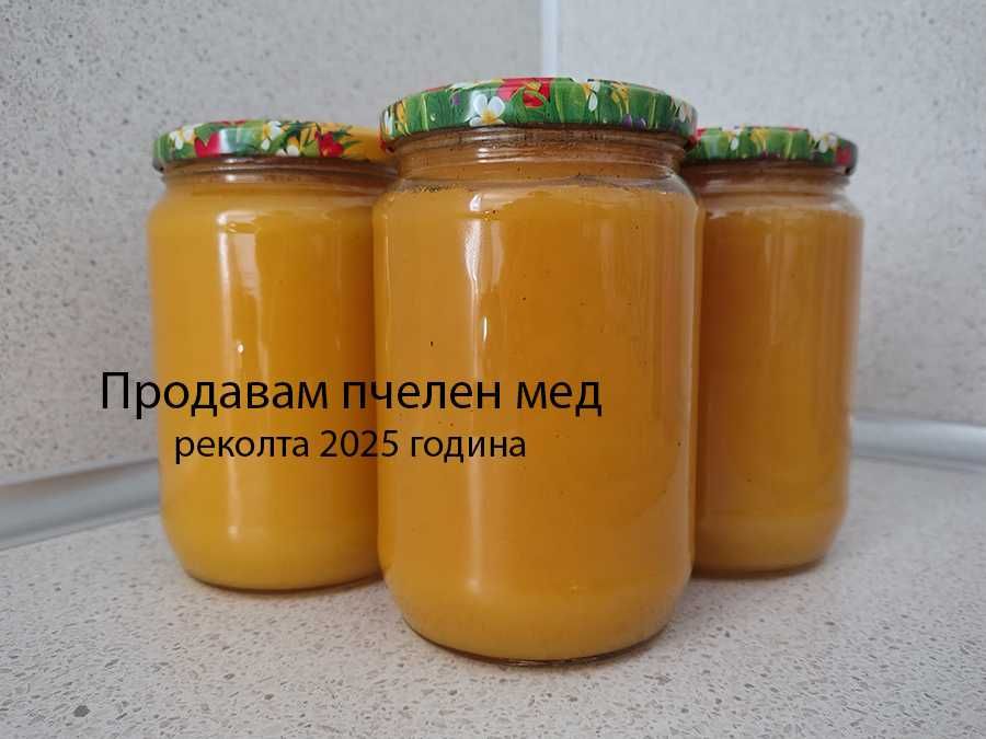 Продавам пчелен мед реколта 2025 година