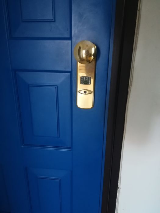 Vand Ușa intrare casa/apartament